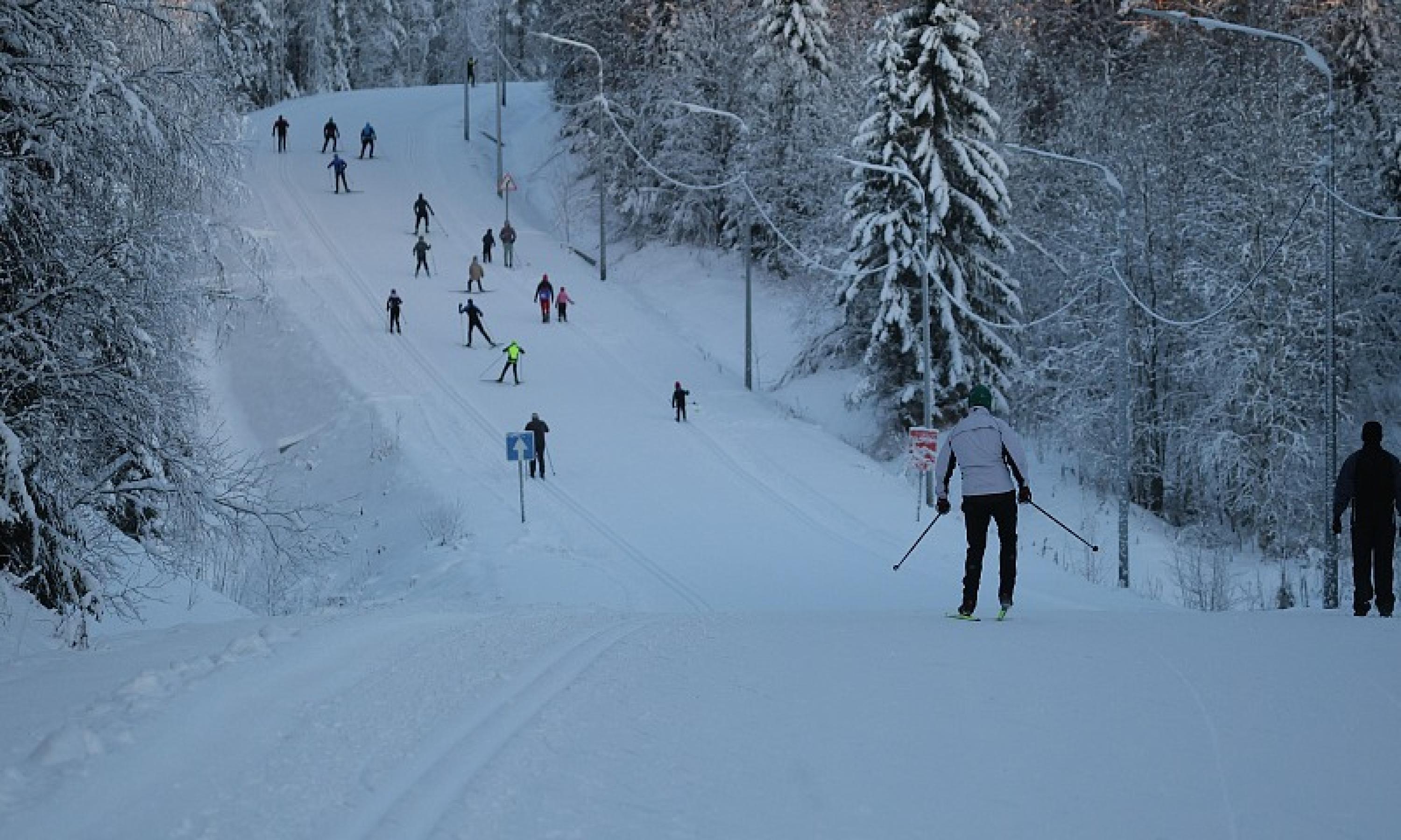 Туристический портал Поморья собрал информацию о зимних активностях