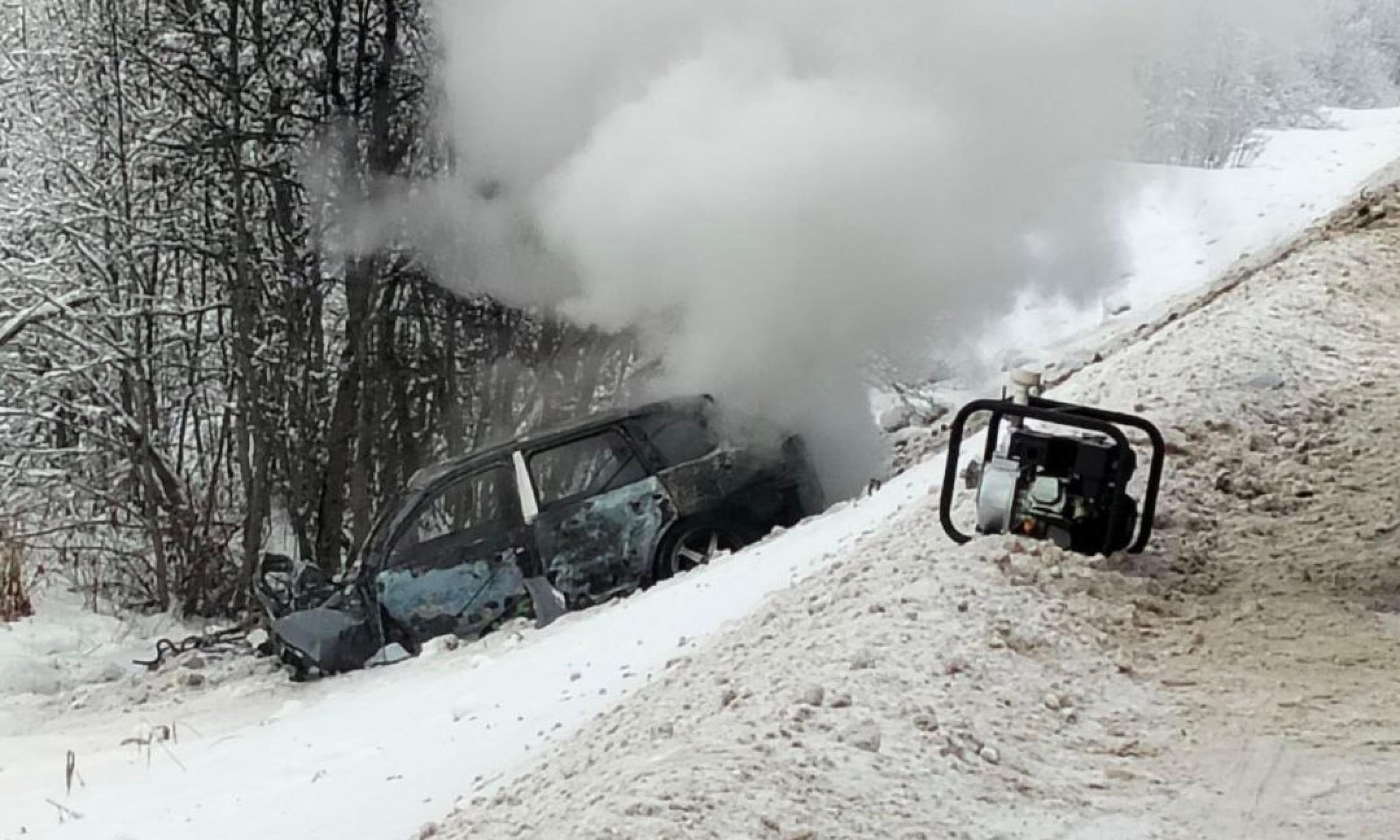 Фото УМВД России по Архангельской области