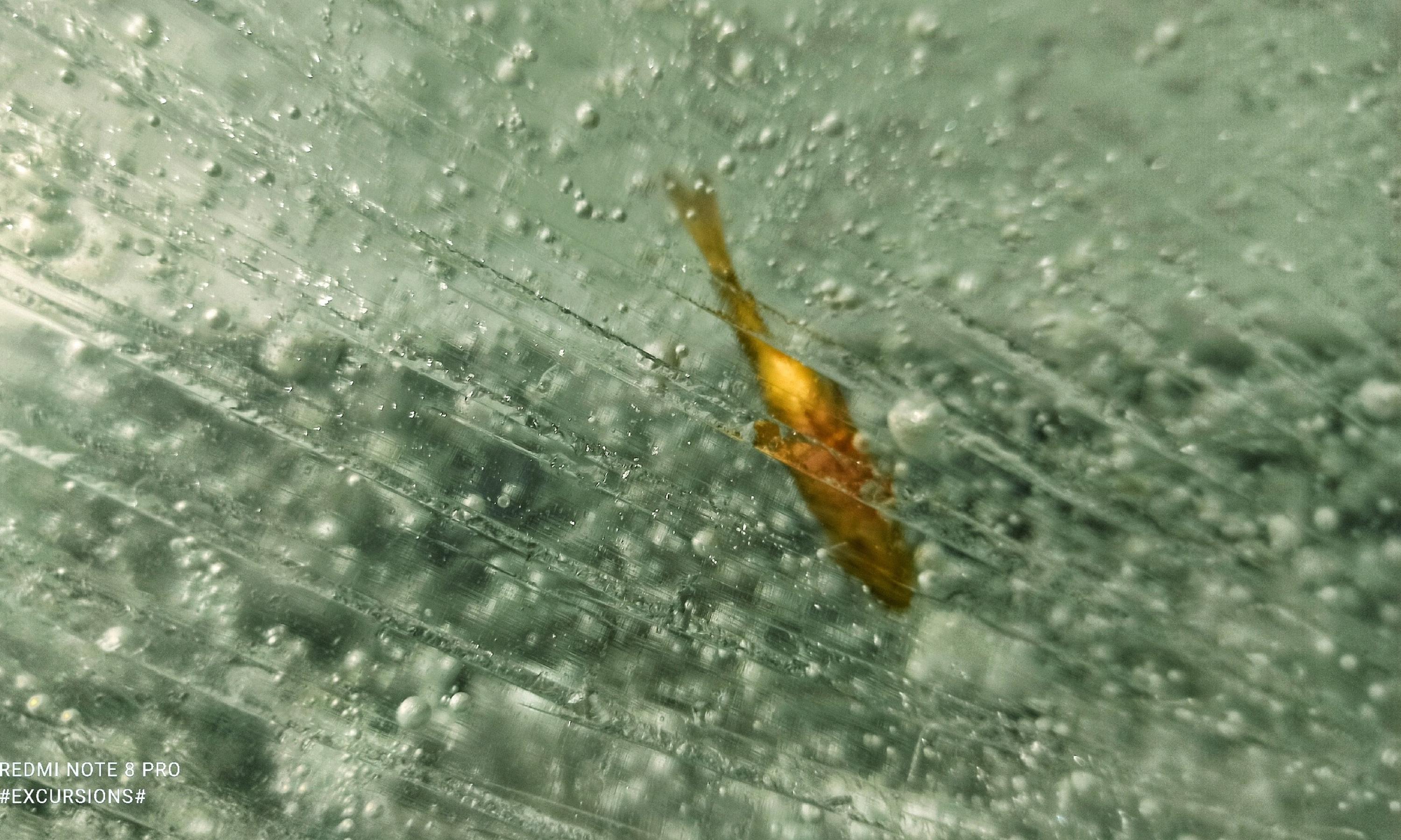 Фото из сообщества «Каргопольский музей»