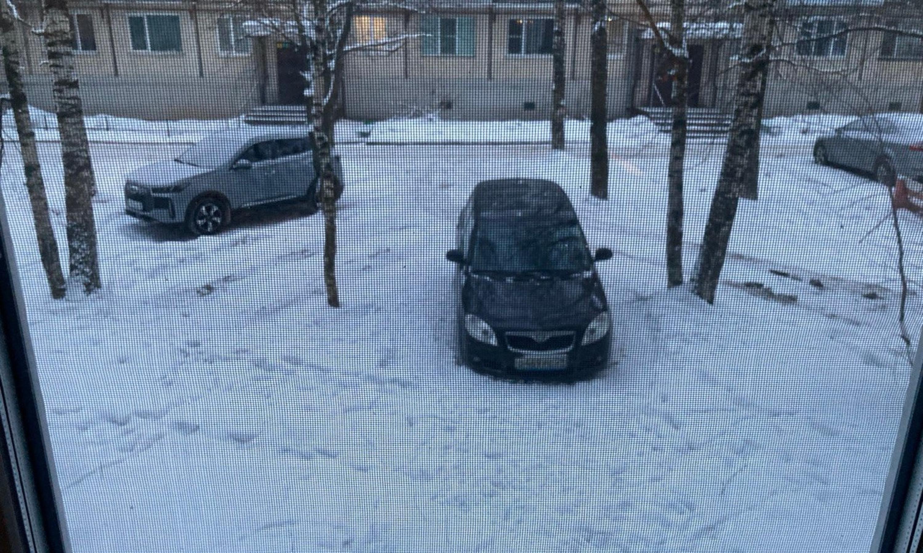 Автор Grigoriy Zhdanov/Фото из сообщества «Открытый Архангельск»