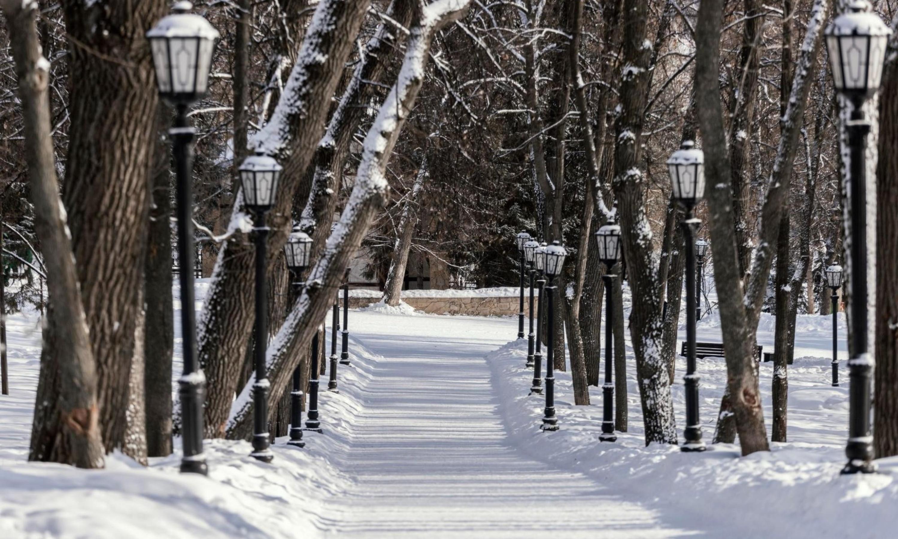 Фото: freepik.ru