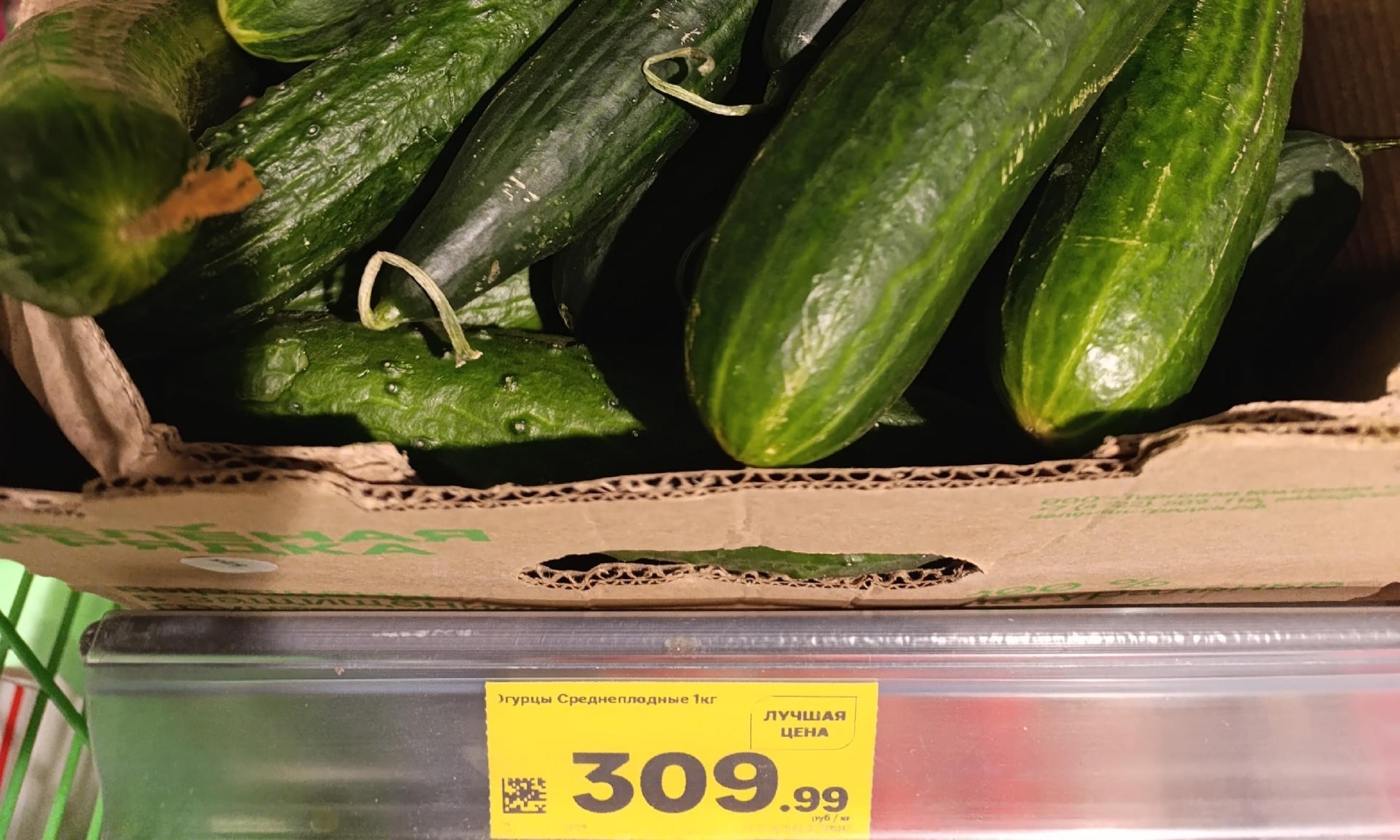 Фото Инги Шаршовой