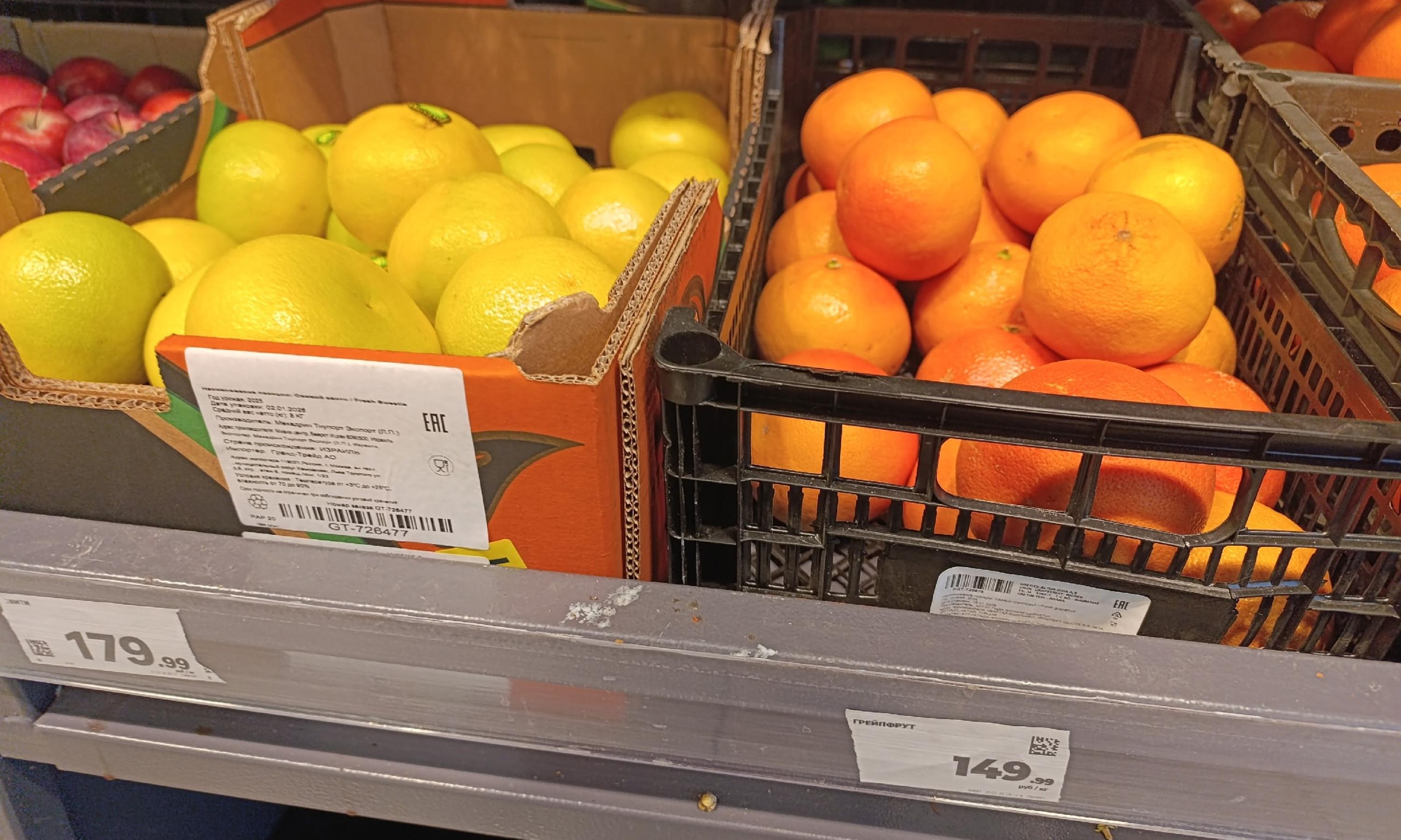 Фото Романа Филковского