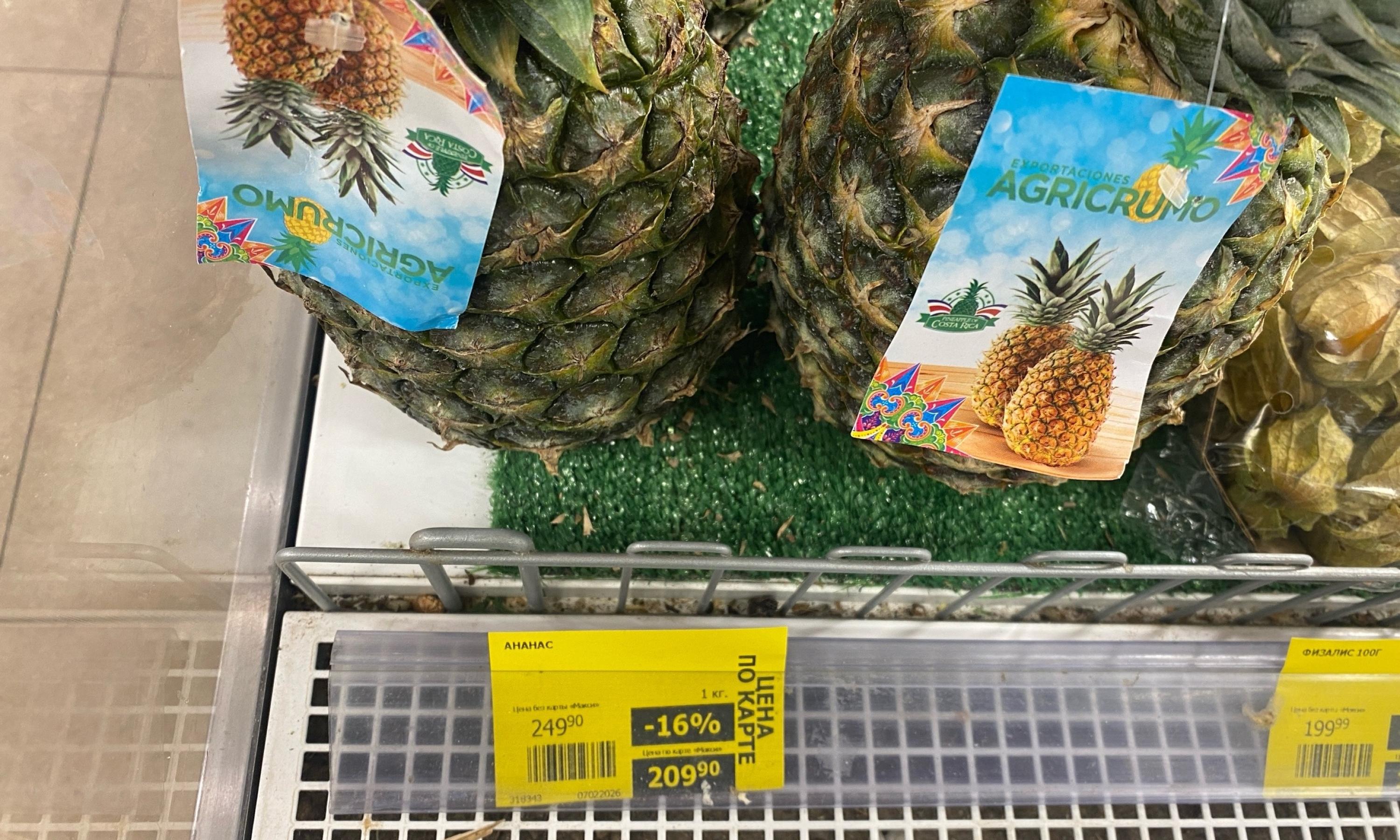 Фото Инги Шаршовой