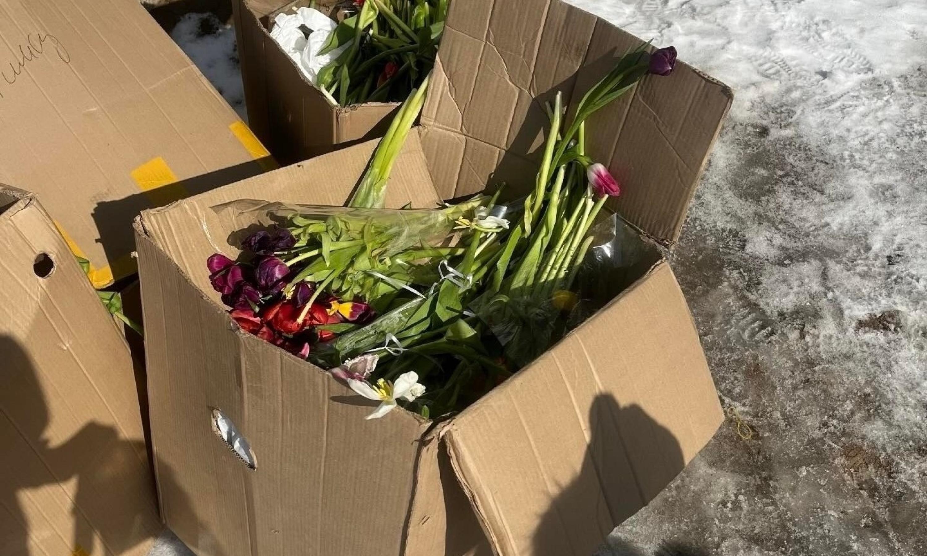 Фото из группы ВК «Жесть Архангельск»