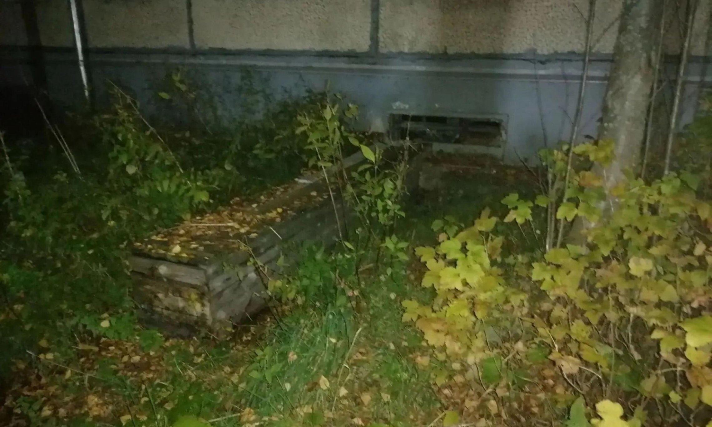 Фото Девушки В Кровати Фото Девушки В Кровати